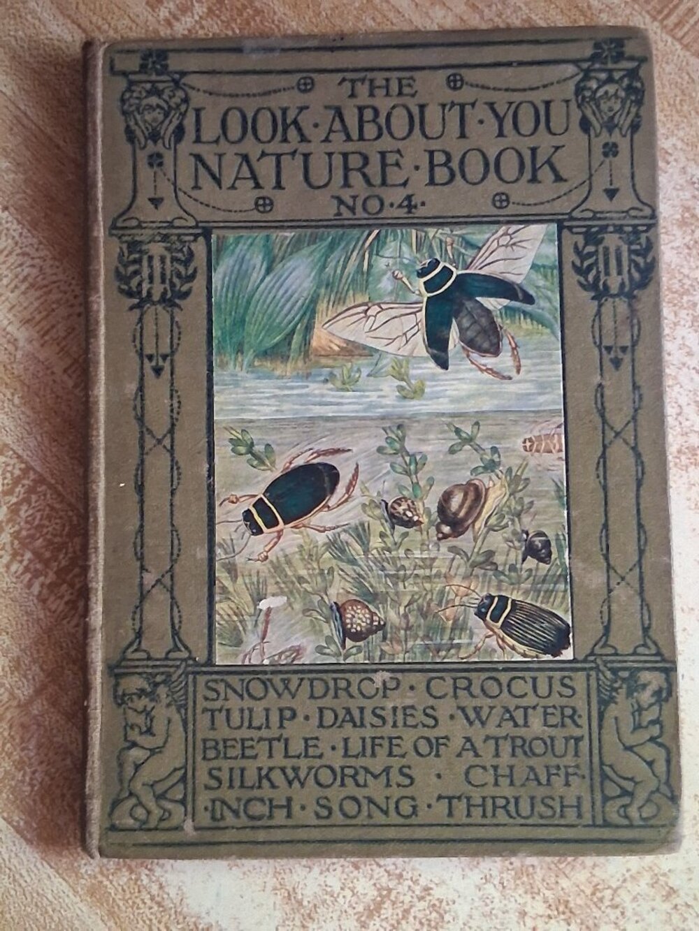 The Look About You Nature Book No 4 Nature Vintage Book,